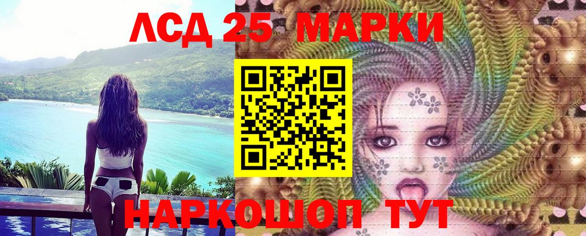 Наркотические марки 1,8мг  Вход с VPN  Михайловка  Наркотические марки 1,8мг 