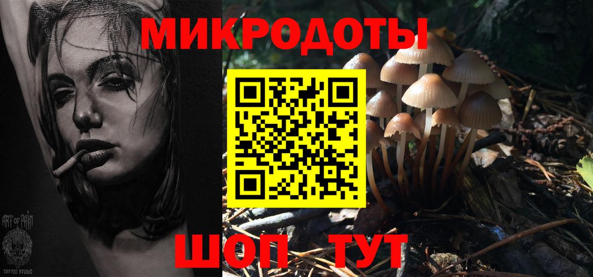 Галлюциногенные грибы GOLDEN TEACHER Михайловка